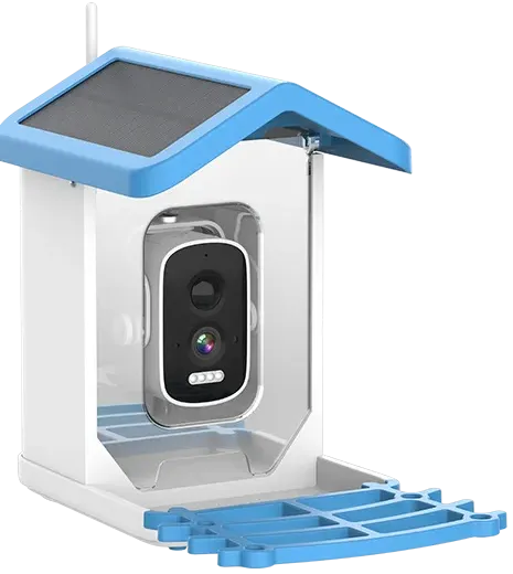 buy ChirpyCharm Camera