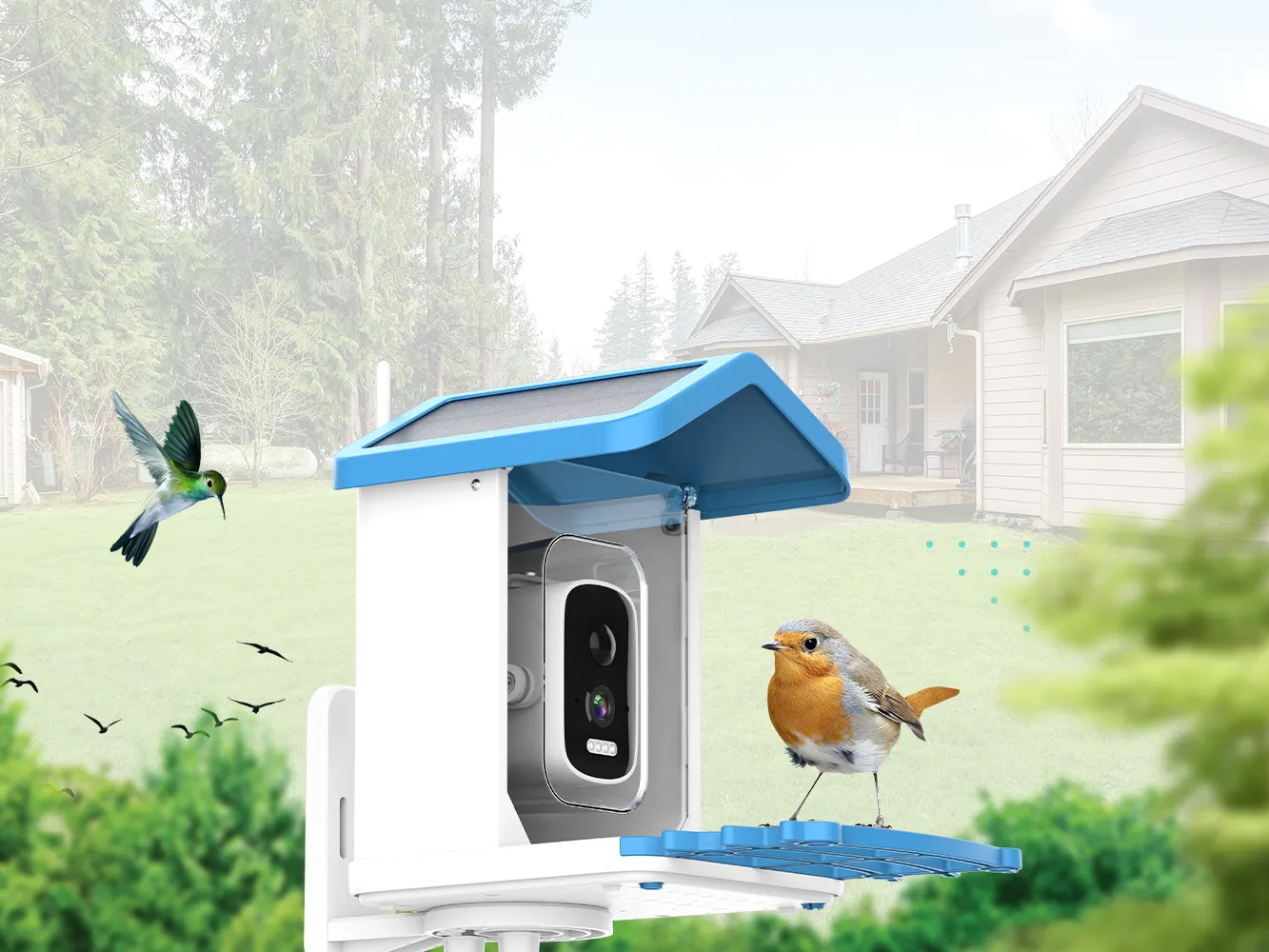 ChirpyCharm Camera 14