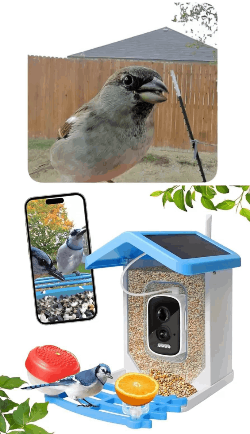 ChirpyCharm Camera 6